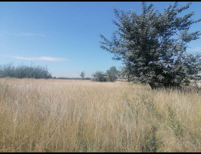 LAND FOR SALE IN WALKERVILLE CENTRAL